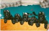 briards bebes.jpg - 